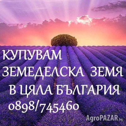 Купувам земеделска земя в област Пловдив