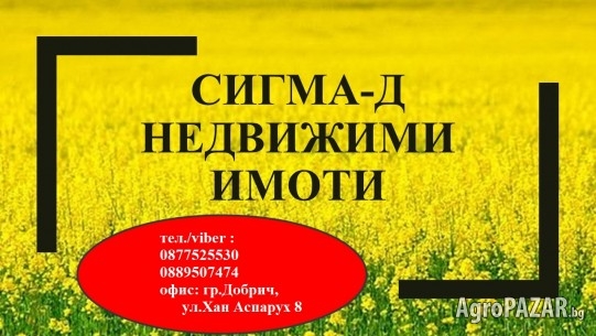 Купува земеделска земя в Сокол, Косара, Зафирово