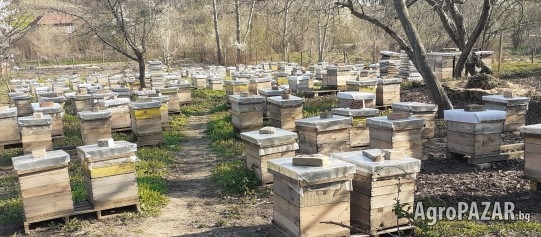 Пчелни семейства 200лв. и отводки 100лв. многокорпусни