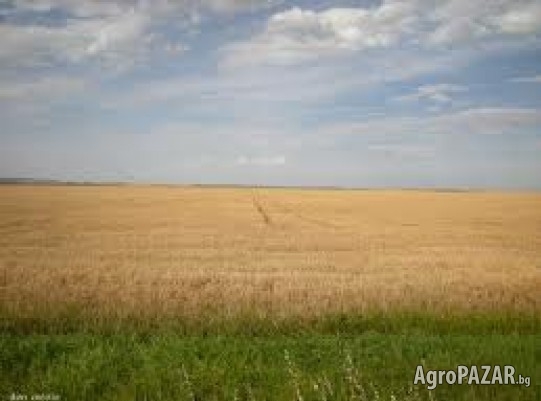 Купувам земеделска земя в област Хасково